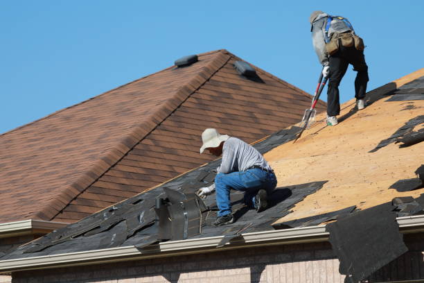 Best Solar Panel Roofing Installation  in Carpentersvle, IL