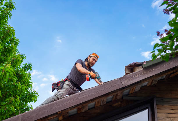 Best Emergency Roof Repair Services  in Carpentersvle, IL