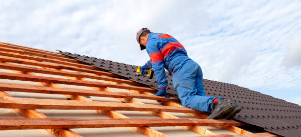 Best Roof Moss and Algae Removal  in Carpentersvle, IL